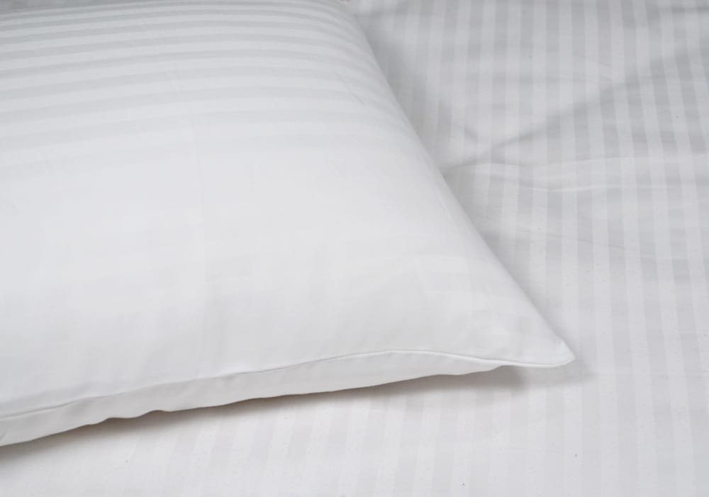 Pillow Cover - 300 Tc 80/20 Blend - 20 by 30 - Treebo