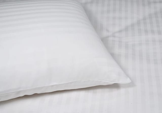 Pillow Cover - 300 Tc 80/20 Blend - 20 by 30 - Itsy